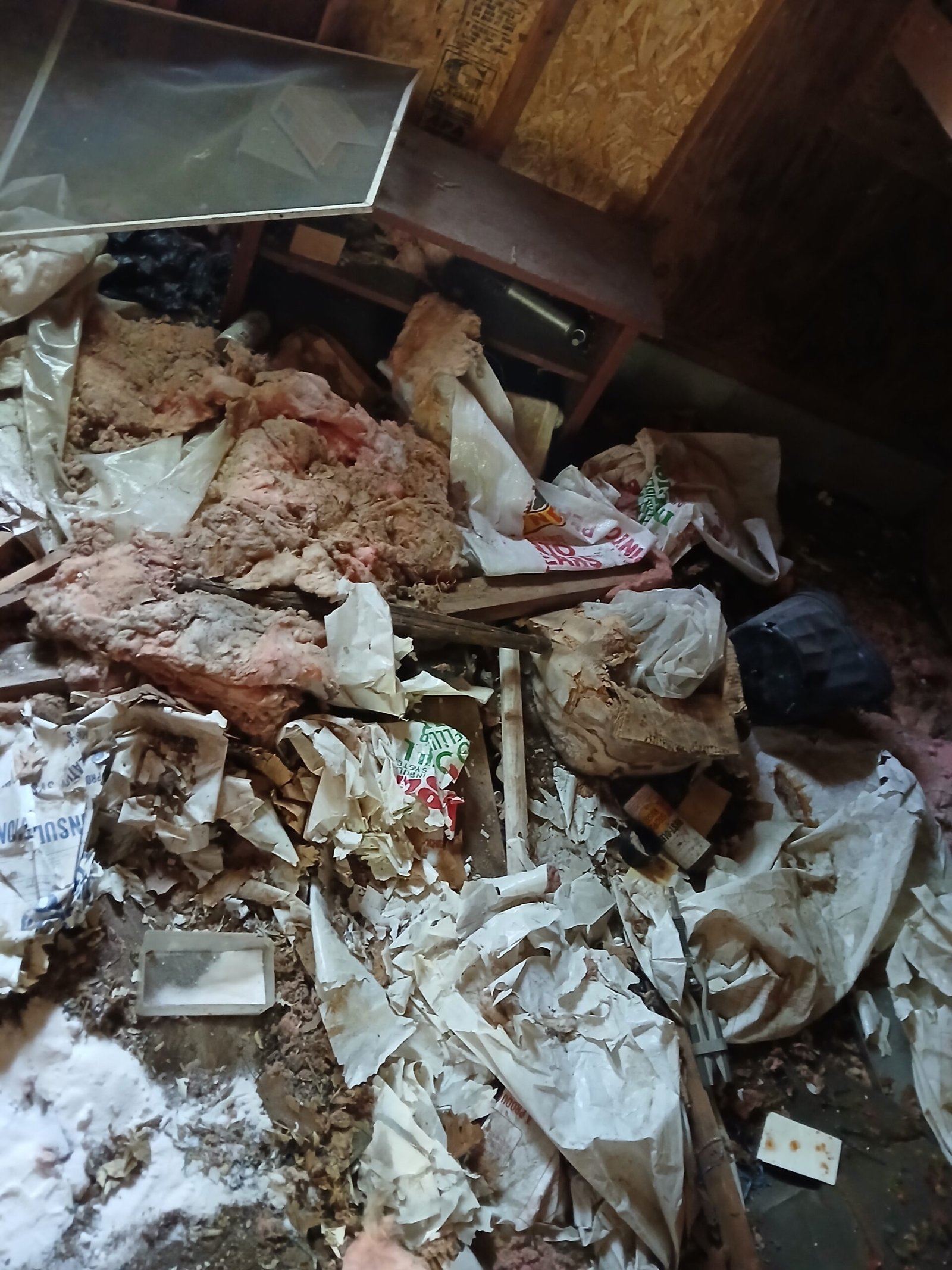 *What we do* Before picture of Harrison estate clean up job picture 8