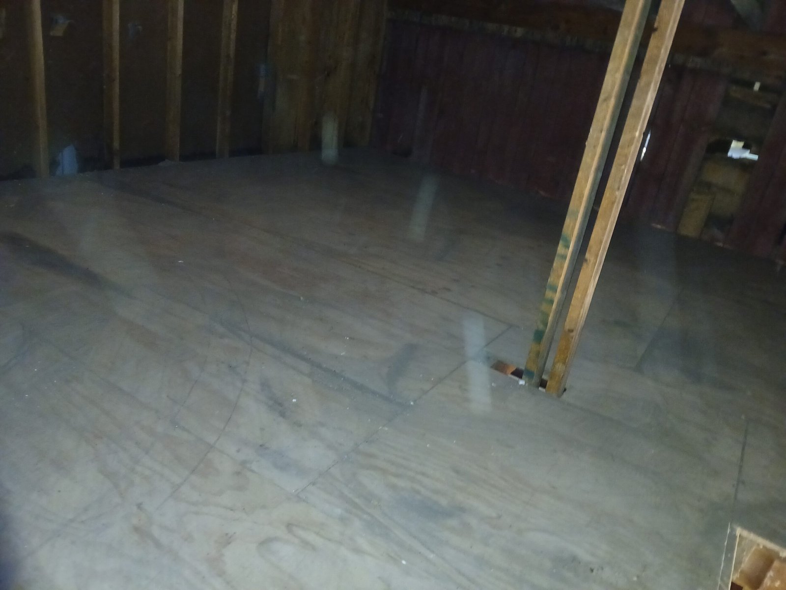 *What we do* After pictures of Harrison estate clean up job picture 5