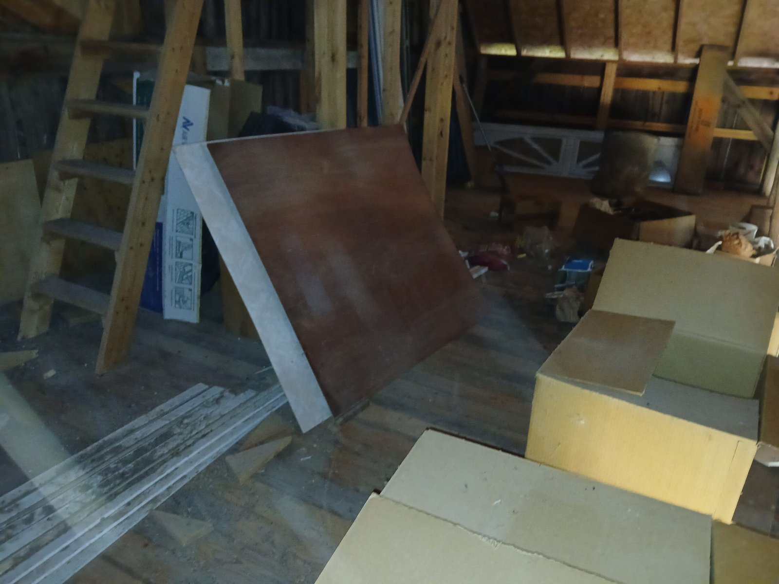 *What we do* Before picture of Harrison estate clean up job picture 2