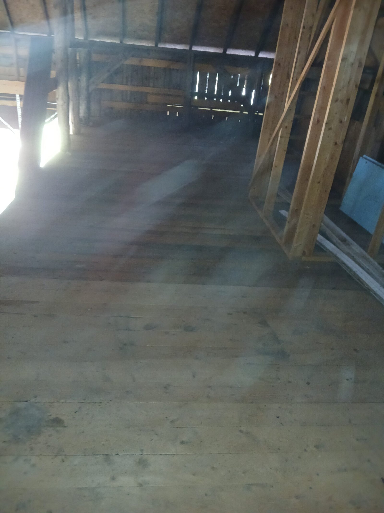 *What we do* After pictures of Harrison estate clean up job picture 2