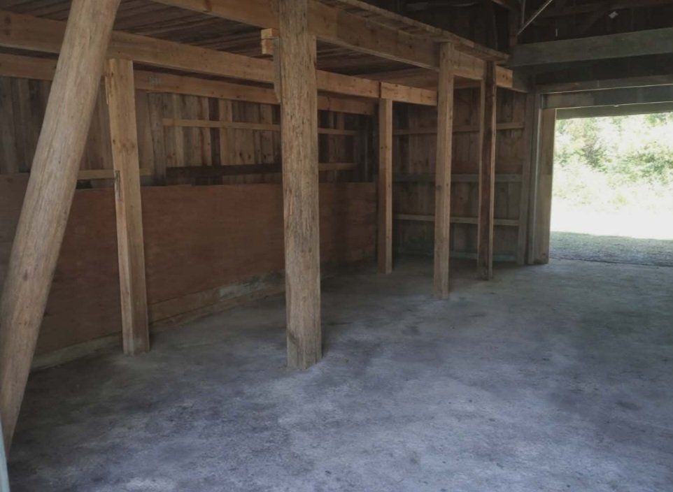 *What we do* After pictures of Harrison estate clean up job picture 4